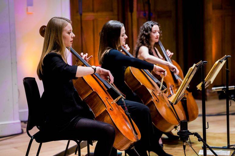 Click to enlarge image total-orchestra-07.jpg